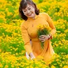 kim.phng8895