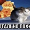 user19025444402042