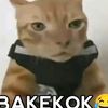 cah_karanganyar4