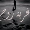qamar.qamar5434