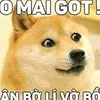 vietnam4644