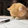.tammy_20_10