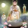 an.yn.truong