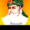 azadzulafqar