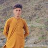 nigar.ashraf2