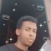 wasihundegefe