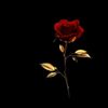 mss.bati.cagaar
