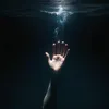 adamsh337