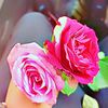 .moriom439