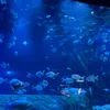 hangthuy_164