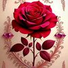 maymunaislam835