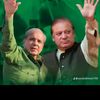 mushtaq.4503315