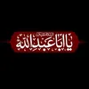 user2617724003218