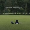 fajarjaa010125