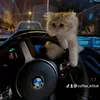 coffee_kittuk