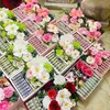 su.thch.sa2