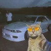 fanjdm82