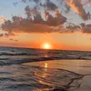 taralline_3