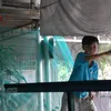 tam.tun6