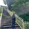 лесяя