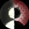 zamdar016