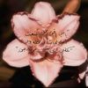 tt3hli