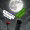 naseeb.gularshadk