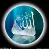 md.sifat9615