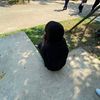 natthanicha771