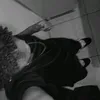 netto_zk