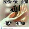 user8314256313801