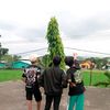 dhik4._17