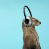 ottermusics