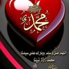 basamalzady