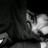 user331313053