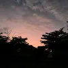 cm.ly7367