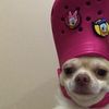 mochiees_chese