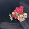 aoctoberx