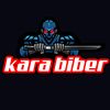 kara.biber658