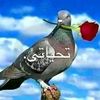 user13272867739676