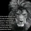 peeeeenis66