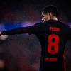 pedrigonzalez393