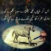 anaya.ijaz8