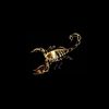 _scorpionnnn