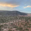 lfakhti1