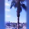 user_.intrvbm