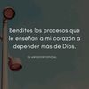 pipe.andrade44