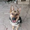 matt_444tiktok