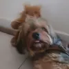 vidadeco2