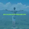 shadowpreneur